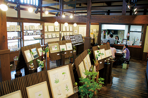 外山康雄 野の花館